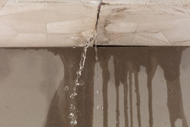 Professional Sewage Cleanup technician working in Saint Martin, MN